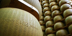 Parmigiano