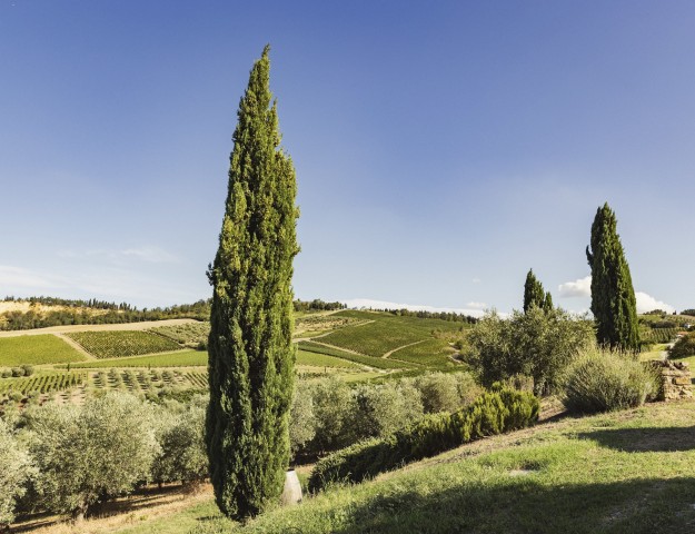 borgo-conde-paesaggio