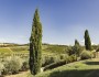 borgo-conde-paesaggio