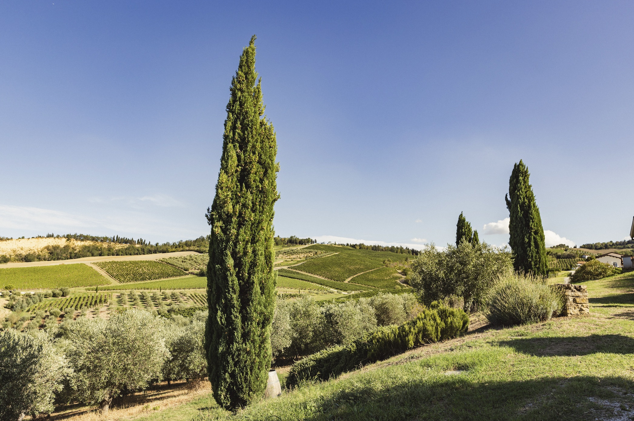 borgo-conde-paesaggio